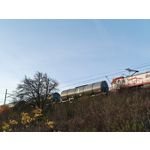 Zdjęcia użytkowników Realme GT7 Pro