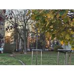 Zdjęcia użytkowników Realme GT7 Pro