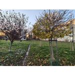 Zdjęcia użytkowników Realme GT7 Pro