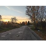 Zdjęcia użytkowników Realme GT7 Pro