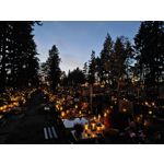 Zdjęcia użytkowników Realme GT7 Pro