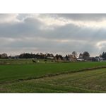 Zdjęcia użytkowników Realme GT7 Pro