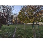 Zdjęcia użytkowników Realme GT7 Pro