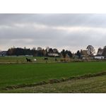 Zdjęcia użytkowników Realme GT7 Pro