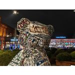 Zdjęcia użytkowników Realme GT8 Pro