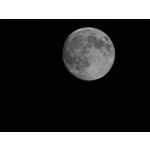 Zdjęcia użytkowników Realme GT8 Pro