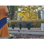 Zdjęcia użytkowników Realme GT8 Pro