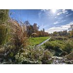 Zdjęcia użytkowników Realme GT8 Pro