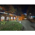 Zdjęcia użytkowników Realme GT8 Pro