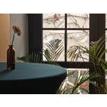 Zdjęcia użytkowników Realme GT8 Pro