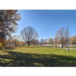 Zdjęcia użytkowników Realme GT8 Pro