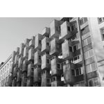 Zdjęcia użytkowników Realme GT8 Pro