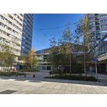 Zdjęcia użytkowników Realme GT8 Pro