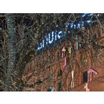 Zdjęcia użytkowników Realme GT8 Pro