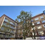 Zdjęcia użytkowników Realme GT8 Pro