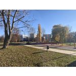 Zdjęcia użytkowników Realme GT8 Pro