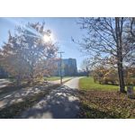 Zdjęcia użytkowników Realme GT8 Pro