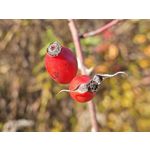 Zdjęcia użytkowników Realme GT8 Pro