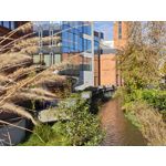 Zdjęcia użytkowników Realme GT8 Pro