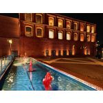 Zdjęcia użytkowników Realme GT8 Pro