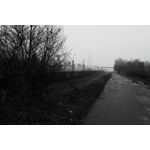 Zdjęcia użytkowników Realme GT8 Pro