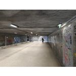 Zdjęcia użytkowników Realme GT8 Pro