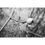 Zdjęcia użytkowników Realme GT8 Pro