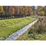 Zdjęcia użytkowników Realme GT8 Pro