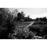 Zdjęcia użytkowników Realme GT8 Pro