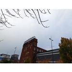 Zdjęcia użytkowników Realme GT8 Pro