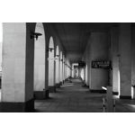 Zdjęcia użytkowników Realme GT8 Pro