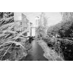 Zdjęcia użytkowników Realme GT8 Pro