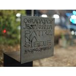 Zdjęcia użytkowników Realme GT8 Pro