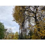 Zdjęcia użytkowników Realme GT8 Pro