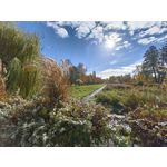 Zdjęcia użytkowników Realme GT8 Pro