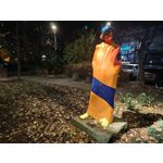 Zdjęcia użytkowników Realme GT8 Pro