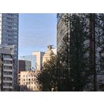 Zdjęcia użytkowników Realme GT8 Pro