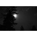 Zdjęcia użytkowników Realme GT8 Pro