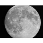 Zdjęcia użytkowników Realme GT8 Pro