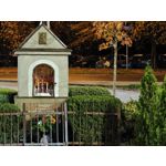 Zdjęcia użytkowników Realme GT8 Pro