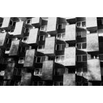 Zdjęcia użytkowników Realme GT8 Pro