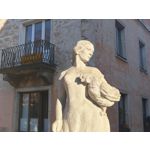 Zdjęcia użytkowników Realme GT8 Pro