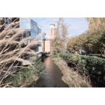 Zdjęcia użytkowników Realme GT8 Pro