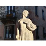 Zdjęcia użytkowników Realme GT8 Pro