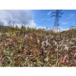 Zdjęcia użytkowników Realme GT8 Pro