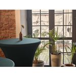 Zdjęcia użytkowników Realme GT8 Pro