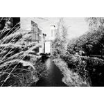 Zdjęcia użytkowników Realme GT8 Pro