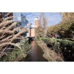 Zdjęcia użytkowników Realme GT8 Pro