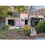 Zdjęcia użytkowników Realme GT8 Pro