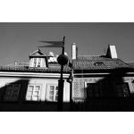 Zdjęcia użytkowników Realme GT8 Pro